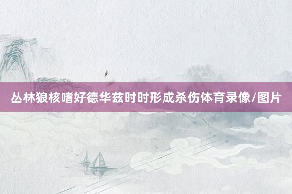 丛林狼核嗜好德华兹时时形成杀伤体育录像/图片