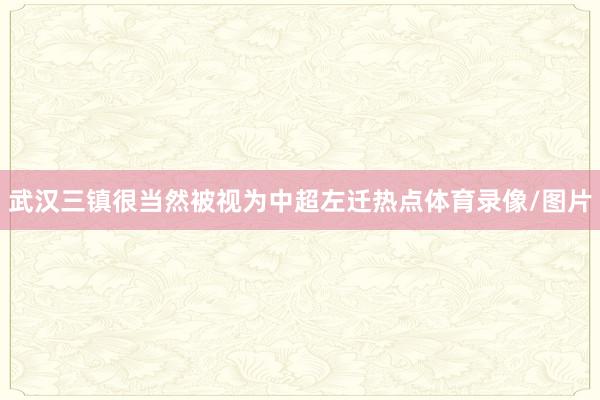 武汉三镇很当然被视为中超左迁热点体育录像/图片