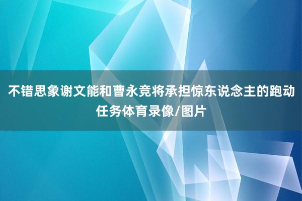 不错思象谢文能和曹永竞将承担惊东说念主的跑动任务体育录像/图片