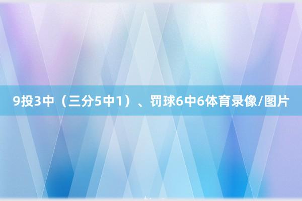 9投3中(三分5中1)、罚球6中6体育录像/图片