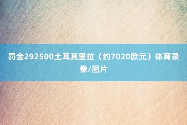 罚金292500土耳其里拉（约7020欧元）体育录像/图片
